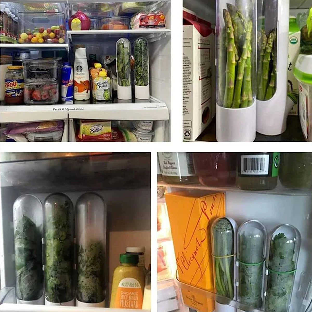 conservador de alimentos